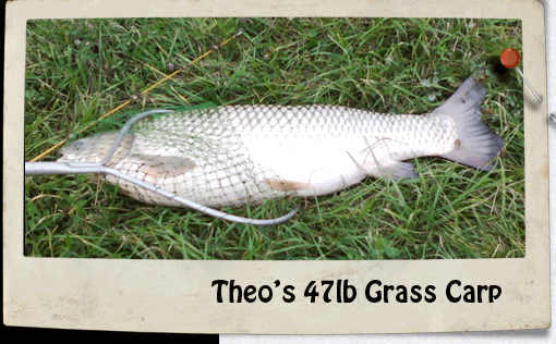 Photo of Grass Carp caught by Stubby Steve's